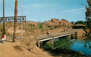 Postcard 1920s Arizona Phoenix Papago Park Maytag Zoological Petley AZ24-3045