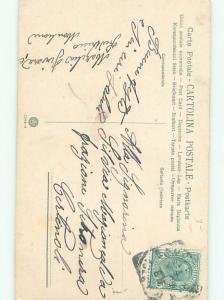 Divided-Back BEAUTIFUL FLOWERS SCENE Great Postcard AA3058