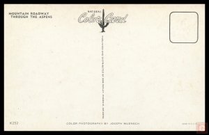 Mountain Roadway Through the Aspens, Colo