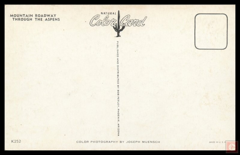 Mountain Roadway Through the Aspens, Colo