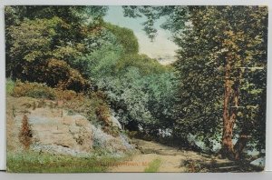 Hagerstown Md A Shady Path Watts Park 1908 to Atlantic City NJ Postcard Q17