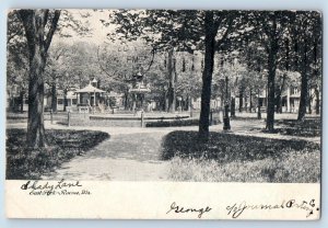 Racine Wisconsin Postcard East Park Scenic View Gazebo Trees 1906 Vintage Posted