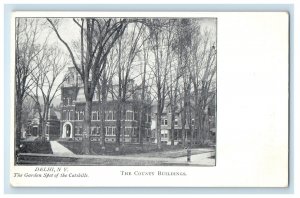 c1905 The County Building Delhi NY, The Garden Spot Of The Catskills Postcard