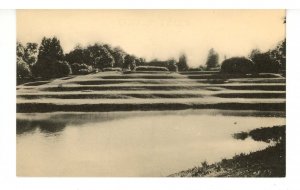 SC - Charleston. Middleton Place Gardens, Terraces & Ashley River