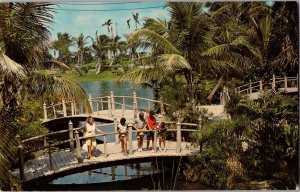 Footbridge Over Aloha Lagoon, Cape Coral Gardens FL Vintage Postcard J51