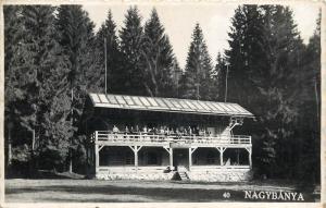 Romania Maramures Baia Mare Nagybánya real photo postcard cottage cabana 1942