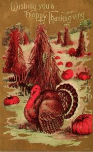 Thanksgiving With Turkey