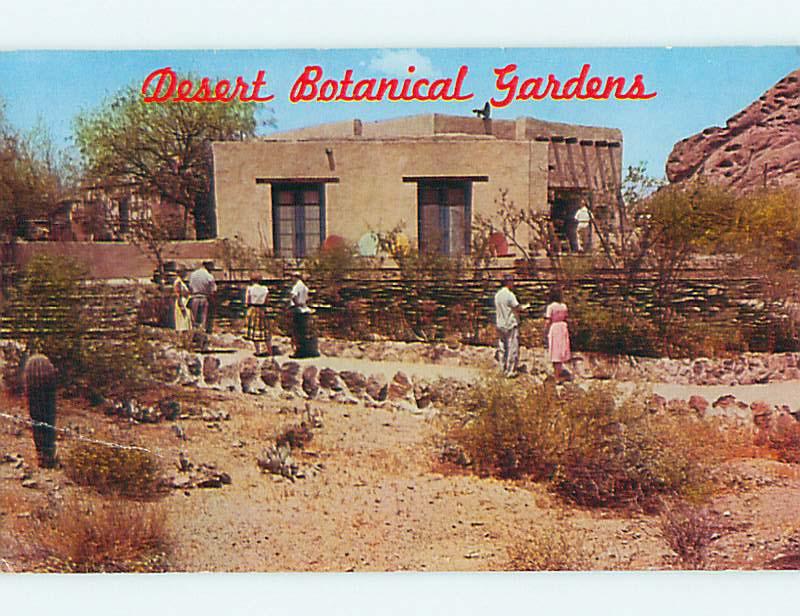 1964 Desert Botanical Garden Phoenix Arizona AZ Q7590