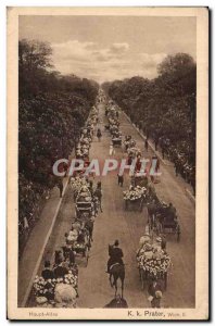 Postcard Old Haupt Allee Prater K K Wien II