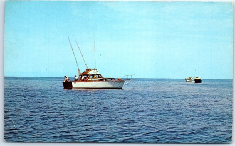 Postcard - Fishing Long Island Waters - New York 