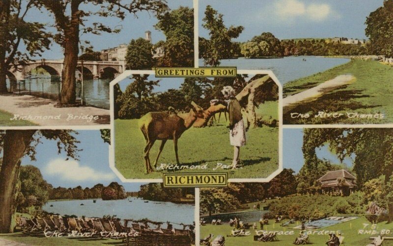 Surrey Postcard - Greetings From Richmond   RS21830