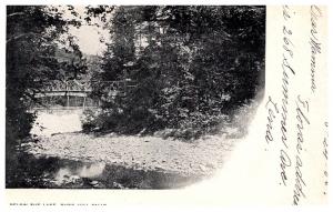 New Jersey  Buck hill Falls , Bridge