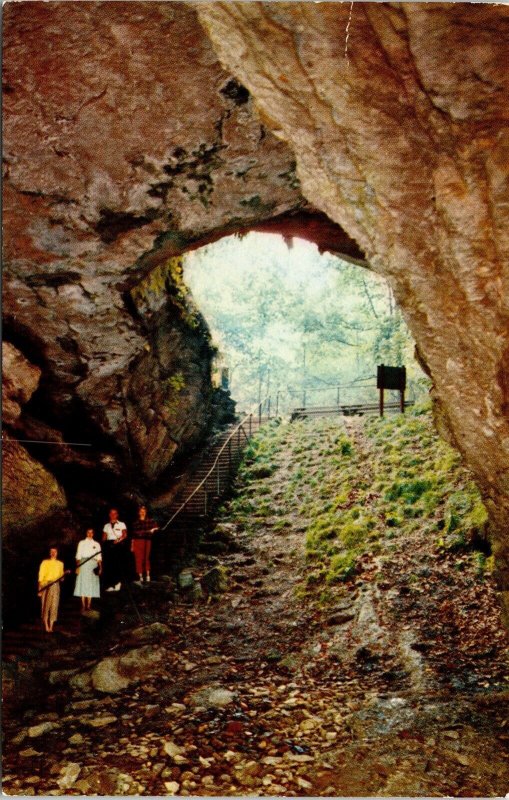 Historic Entrance Mammoth Cave National Park Kentucky KY Postcard UNP VTG Mirro 