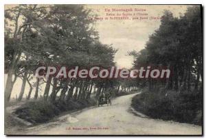 Old Postcard The Black Mountain Road has the firs Basin Entree de St Ferreol ...