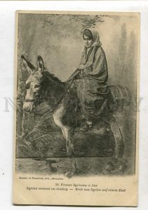 3147465 SYRIA woman on donkey Vintage postcard