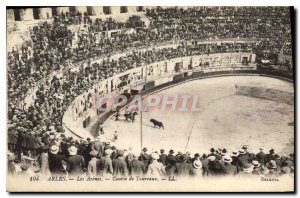 Old Postcard Arles Arenes Bulls Race