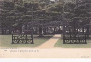 Entrance to Sacandaga Park NY, New York UDB Rotograph c1905