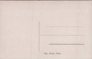 Netherlands Baarn Pekingkom Vintage Postcard C313