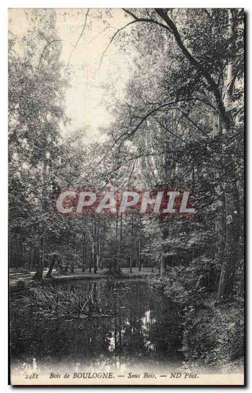 Old Postcard Bois de Boulogne sous Bois