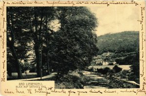 CPA AK Bad Liebenzell blick auf unteres Bad GERMANY (937182)