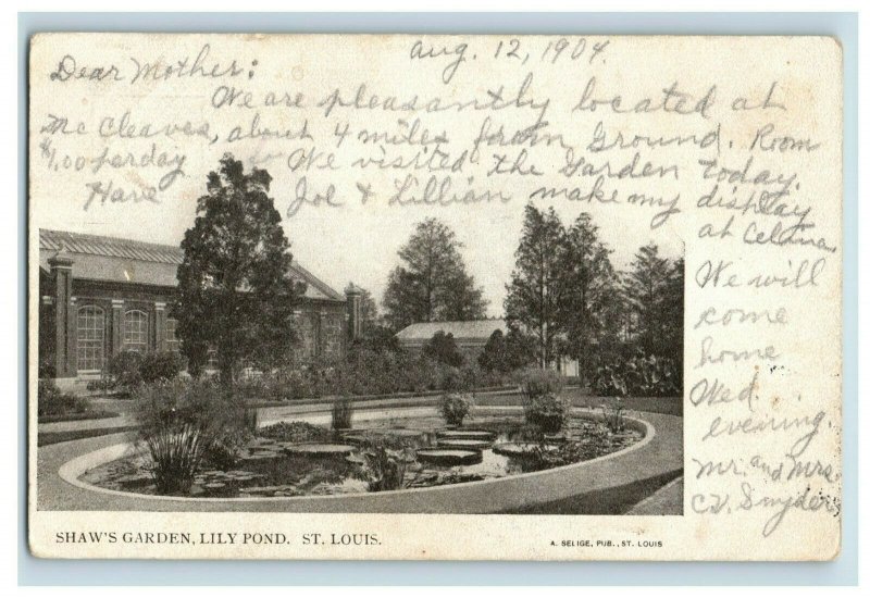 C.1900-04 Shaw's Garden, Lily Pond, St. Louis Postcard P50