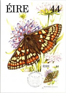 Eire~Ireland MARSH FRITILLARY BUTTERFLY 1985 Ian Loe Maximum Stamp 4X6 Postcard