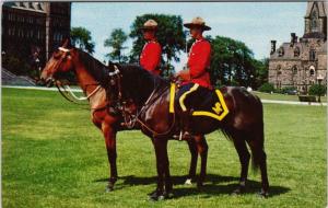 Two RCMP Mounties on Horses Royal Canadian Mounted Police UNUSED Postcard D95