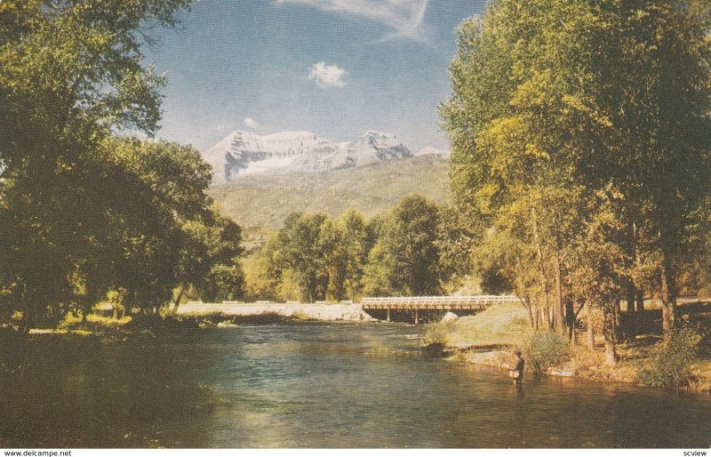 Bridge & Mount Timpanogos , SALT LAKE CITY , Utah , 50-60s