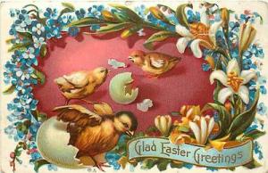 EASTER-BABY CHICKENS HATCHING FROM EGGS-MAILED 1911-K5391