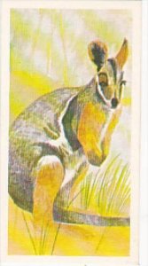 Brooke Bond Vintage Trade Card Vanishing Wildlife 1978 No 39 Yellow Footed Ro...