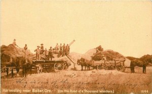 Baker Oregon C-1910 Farm Agriculture Harvesting Postcard PNC Pacific 20-363