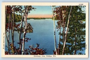 Philips Wisconsin WI Postcard Greetings Scenic View Lake Trees c1940's Vintage