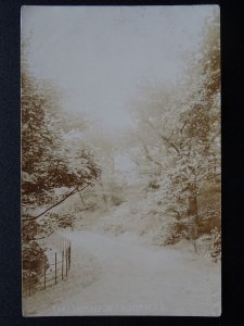 Yorkshire Huddersfield LONGLEY PARK c1904 RP Postcard Kirkheaton cancel