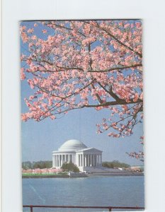 Postcard Jefferson Memorial Washington District of Columbia USA