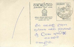 Entier Postal Stationery Postal Sri Lanka Ceylon Lion