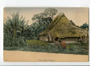 299674 SINGAPORE Farmer house Vintage tinted postcard