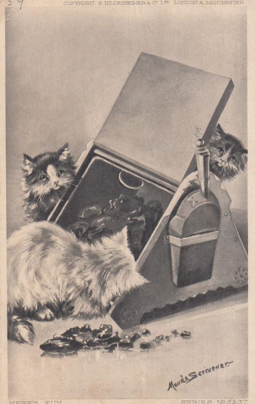 Cats & Toolbox Kitten Old Cat Shovel Spade Exploration Postcard