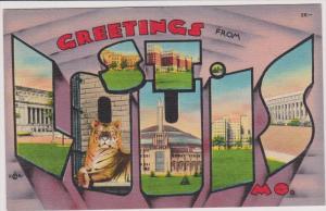 LP16  St. Louis, Missouri, MO  Large Letter   postcard