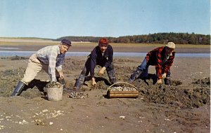 Pinkham Brothers Clamming in Maine