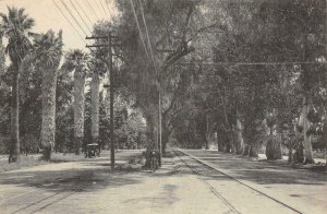 Magnolia Avenue RIVERSIDE, CA Street Scene c1910s Albertype Co. Vintage Postcard