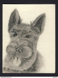 ORIGINAL ART HAND DRAWN - pastels - black Scotty dog - handmade folded note card