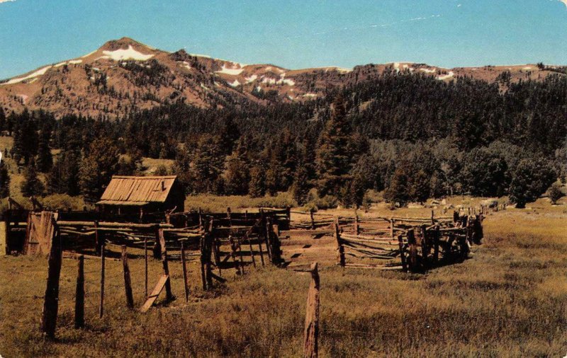 Cattle Corral & Cowboy's Retreat High Sierras California c1960s Vintage Postcard