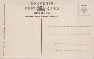 Bermuda Frascati Hotel Flatts Vintage Postcard C279