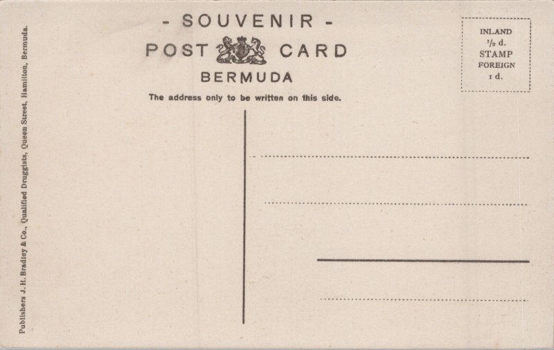 Bermuda Frascati Hotel Flatts Vintage Postcard C279