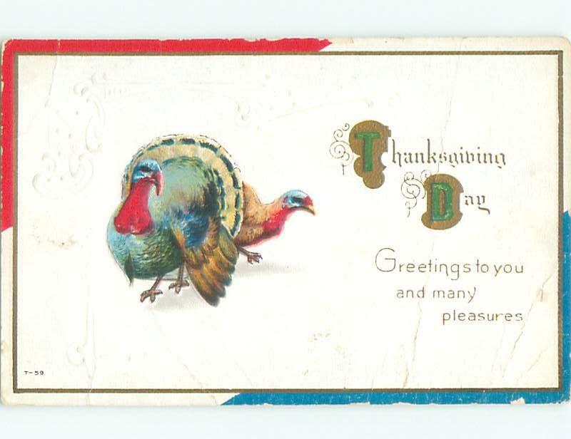 Divided-Back THANKSGIVING SCENE Great Postcard AA0499