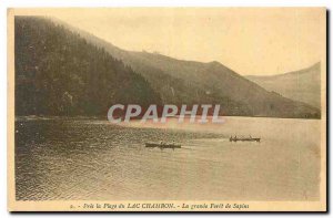 Old Postcard Near the Beach Lake Chambon Great Forest Trees