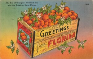 circa 1940's Florida Oranges Wooden Crate Postcard 2T7-147