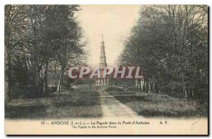 Old Postcard Amboise I and L Pagoda in the Forest will Amboise