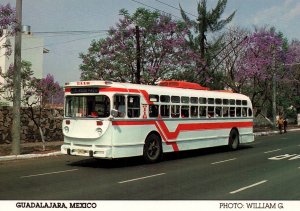 Ex Chicago Marmon Herrington Rolleycoach Bus