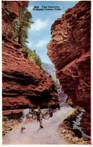 Colorado - Horse at the Narrows in Williams Canon - c1920